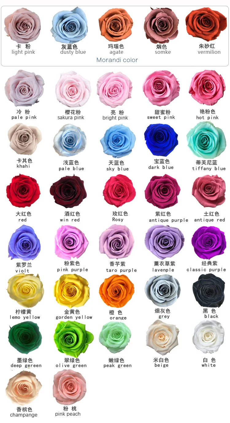 preserved-rose.png