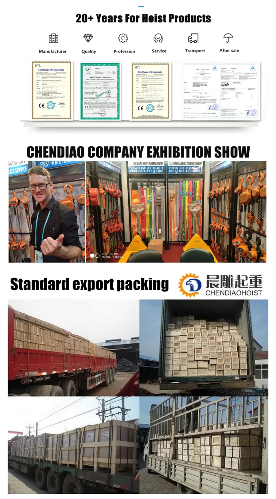 Single phase electric hoist