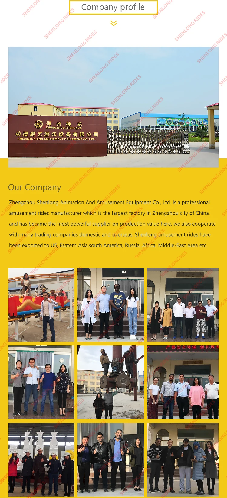 Amusement Park Ride Pirate Ship Sea Dragon For Sale.jpg