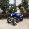 /product-detail/road-legal-quad-bike-250-cc-reverse-trike-60261290073.html