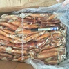 Top supplier Frozen Squid Fish Caught in West Africa