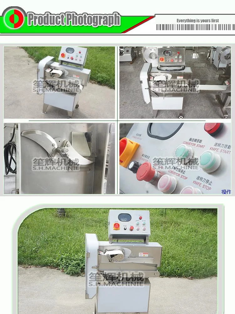 Frozen Lake Teal Dicer Dicing Machine Tenderloin Spare Rib Pork Chops