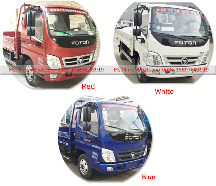 FOTON Cargo Truck Color.jpg