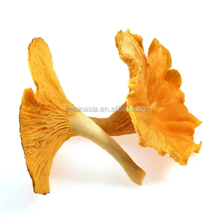Wild Dried Mushroom Chanterelle With Wholesale Prices Buy Chanterelle