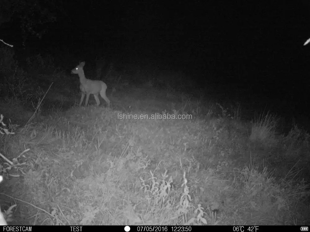 14409499_1303446729696271_5915293257487407260_o