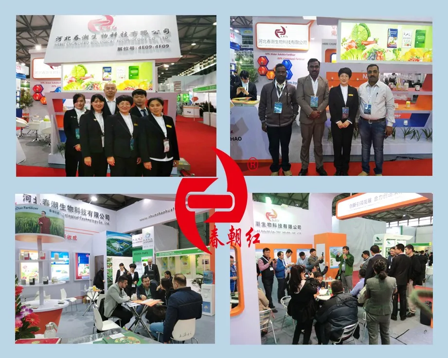 Ammonium Sulphate.jpg