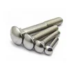 China Fsctory 304 316 duplex stainless steel 2205 decorative head screw