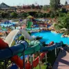 fiberglass Puming Dragon Slide for Water Park equipment water park slides