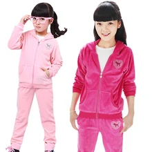 2013 new autumn-summer children clothing sets baby girl velet sports suit kids twinset / sportswear — hoodies+ pants 2 pieces