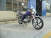 /product-detail/gasoline-motorcycle-pocket-bike-motorbike-dakota-125cc-150cc-60209784902.html