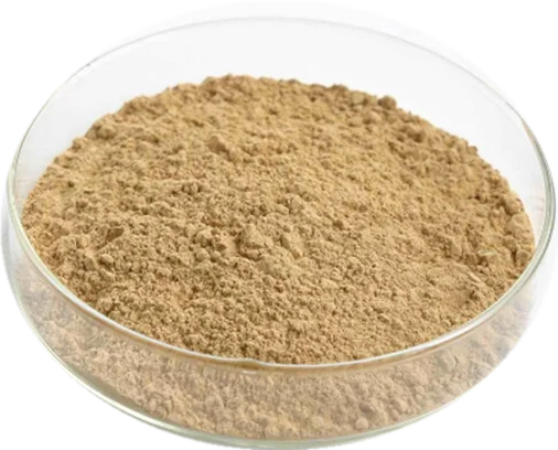 100% natural pure alpinia officinarum lesser galangal extract