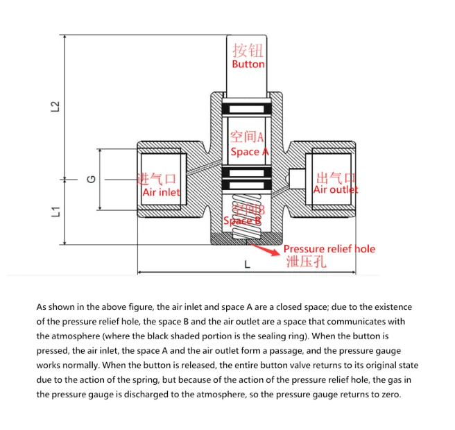 paste-pic-dp_uuid_jxi5v
