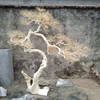 landscape design artificial tree without leaves
