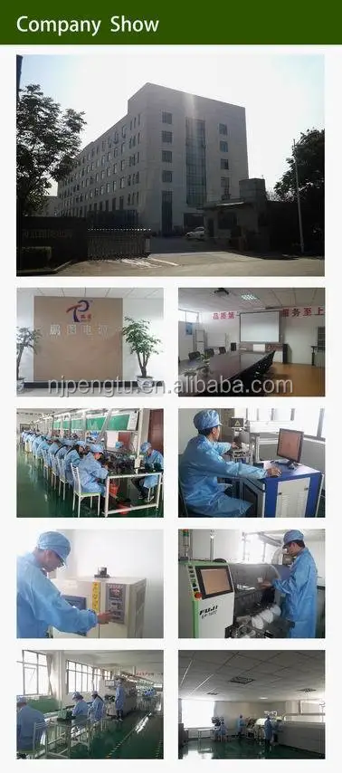 PD-L Series 300v Input Dc Dc Converter From Professional Manufacture