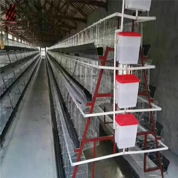 Design Anti Rust Galvanized A Type 1 Day Old Baby Layer Chicks