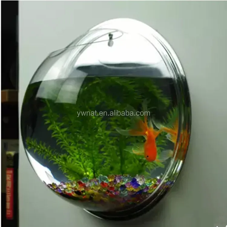 wall fish bowl