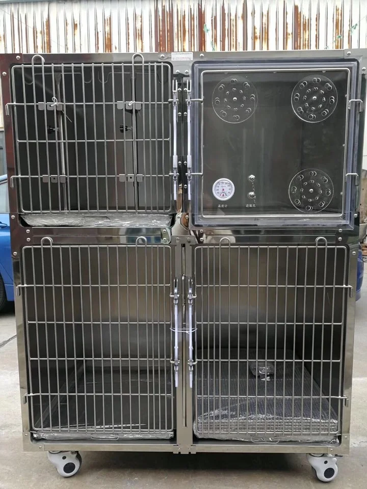 China dog cage pet hospital stainless steel wrought iron dog cage