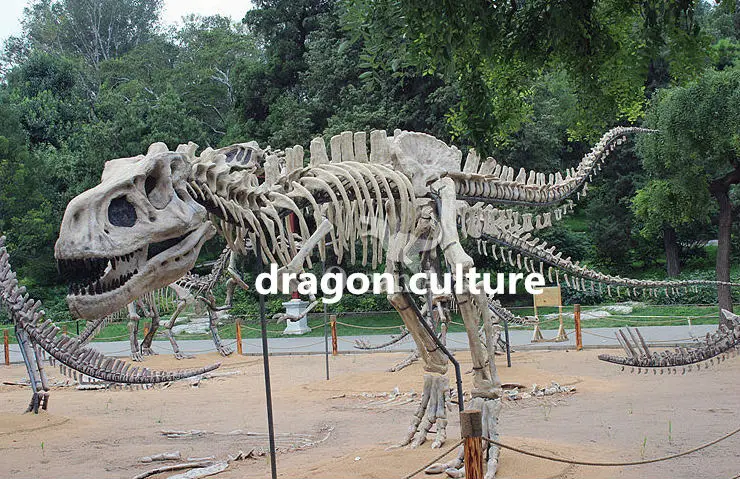 big dinosaur skeleton