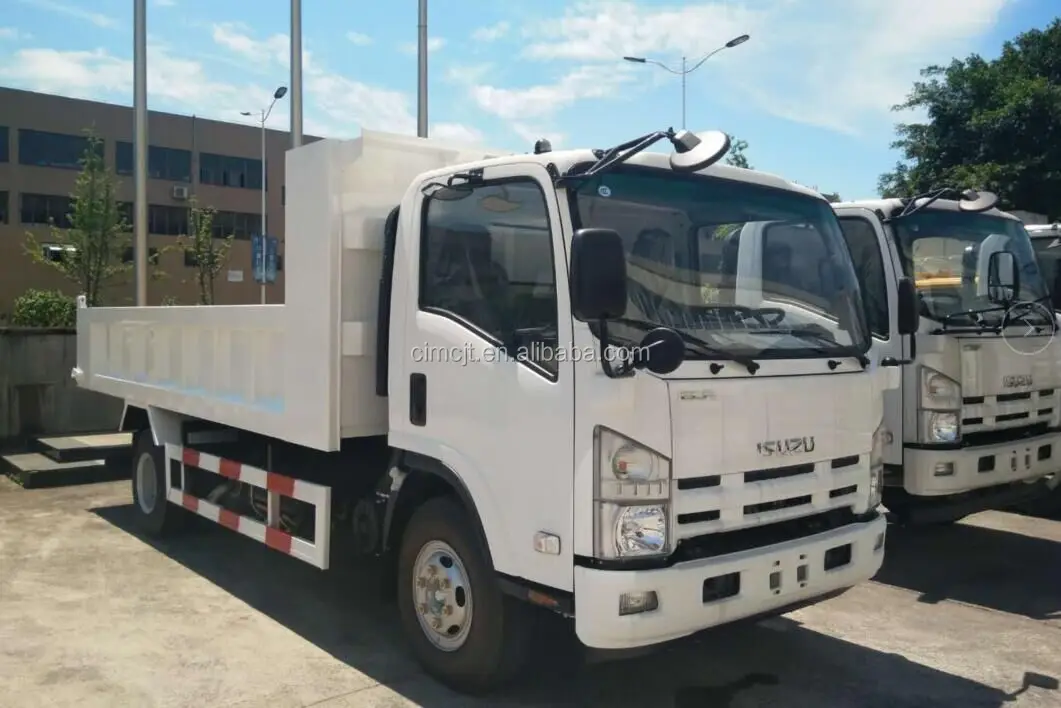 Isuzu FTR 2008