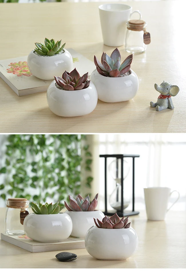 Indoor Decor Mini White Ceramic 2 Inch Flower Pots Buy 2 Inch Flower Pots,Ceramic 2 Inch