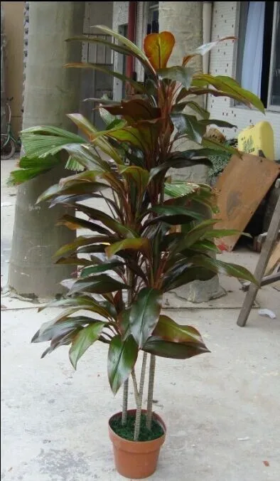プラスチック人工ドラセナ熱帯植物偽葉植物木 Buy 盆栽プラスチック木 安い人工木 ドラセナ熱帯植物観葉植物 Product On Alibaba Com