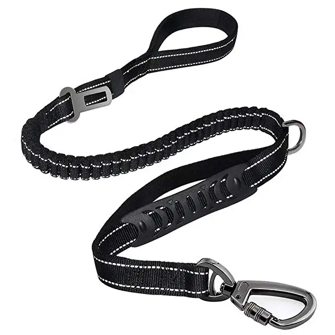 nylon dog leash