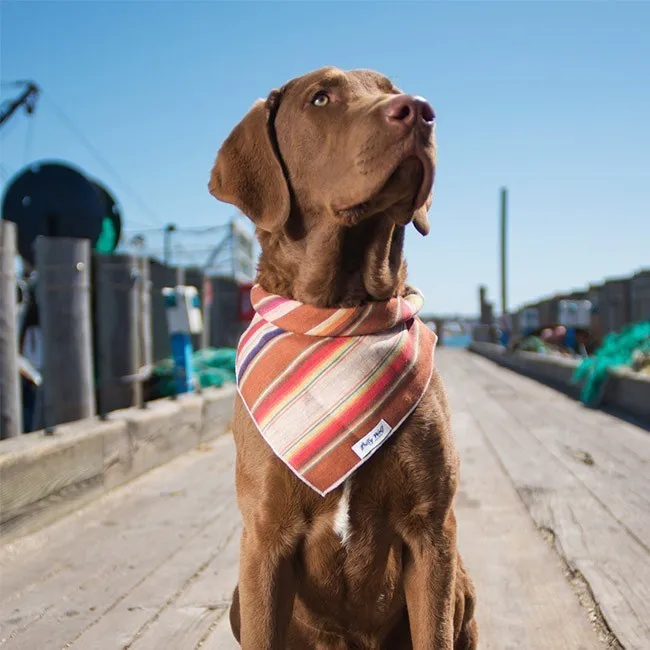 custom dog bandanas