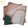 Wholesale Padded Envelope Bag With Logo/Custom Poly Bubble Mailer