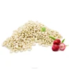 chilgoza pine nuts china pine nuts china pine nuts kernel