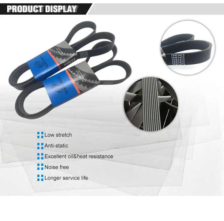ribbed-v-belt.jpg
