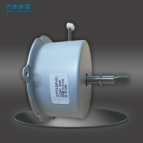24V Brushless DC Motor 50W for Floor Fan
