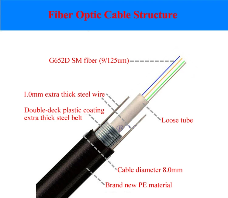 2 / 4 / 6 / 8 / 12 / 16 / 24 Core Single Mode Outdoor Armored GYXTW Fiber Optic Cable