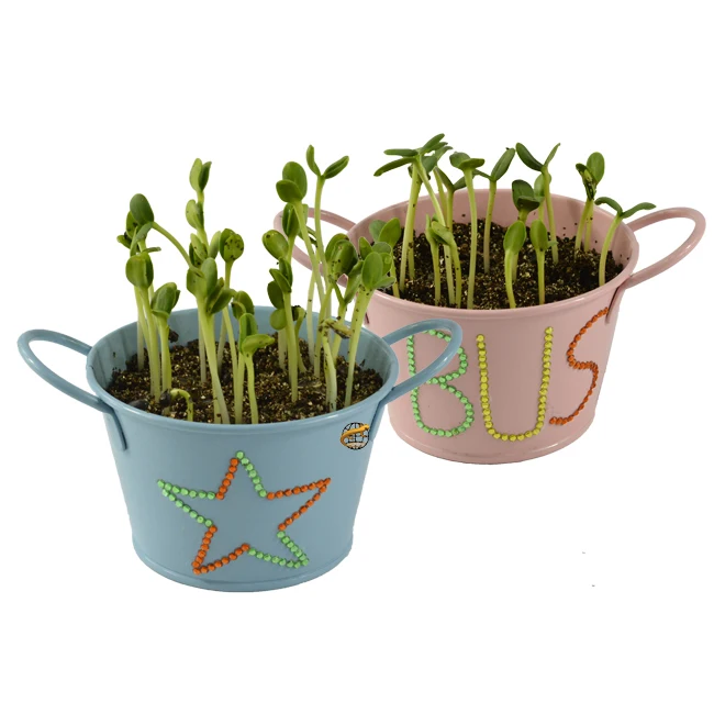 儿童小花园花盆与种子为孩子