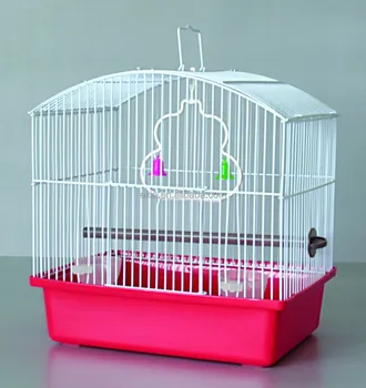 small bird cage