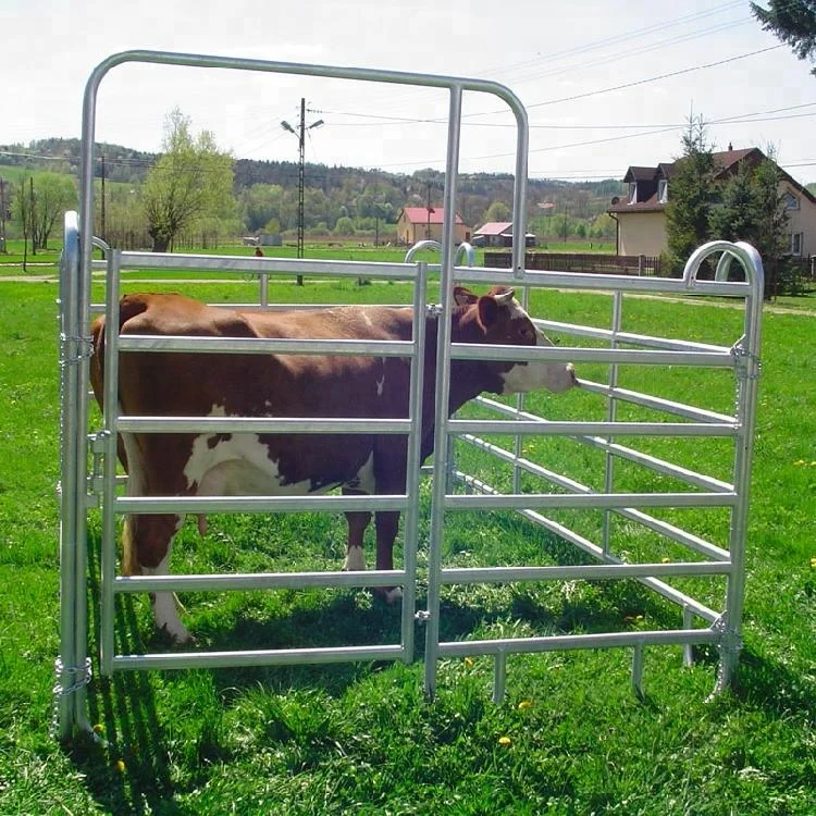 cattle panel 2.jpg
