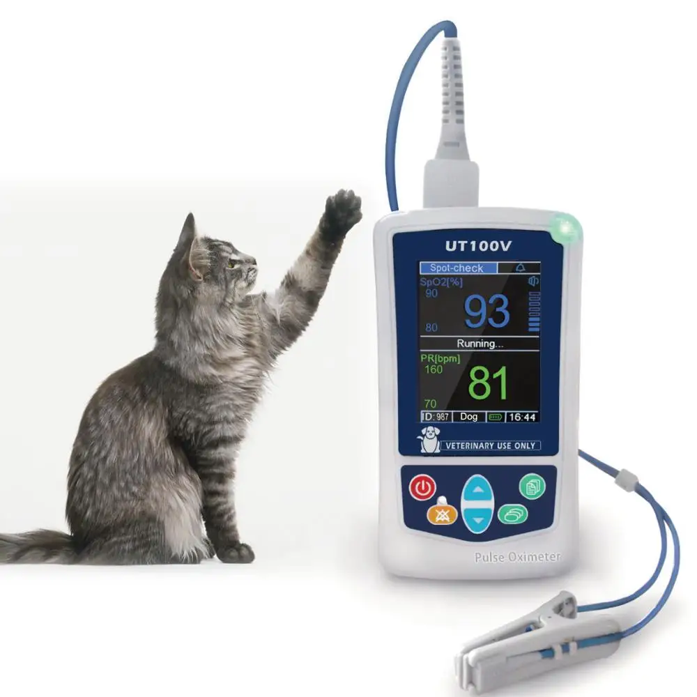 Lovely Cat Blood Pressure Monitor Images