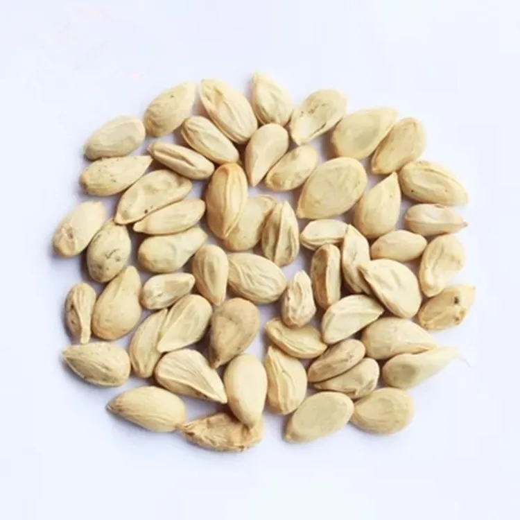 S614 Ju Zi Top Quality Tangerine Seed For Planting Buy Tangerine Seed