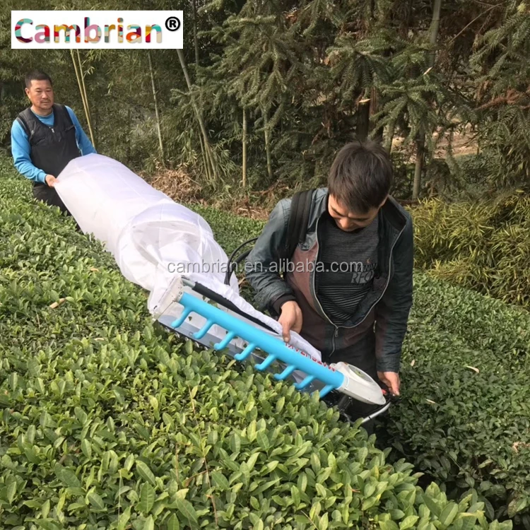 electric tea harvesting machine