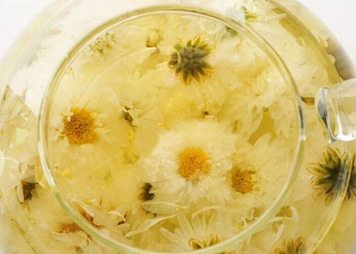 A Grade Hangzhou White Chrysanthemum Tea Hang Bai Ju Tea Buy