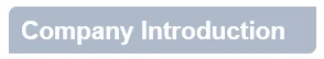Company Introduction (2)