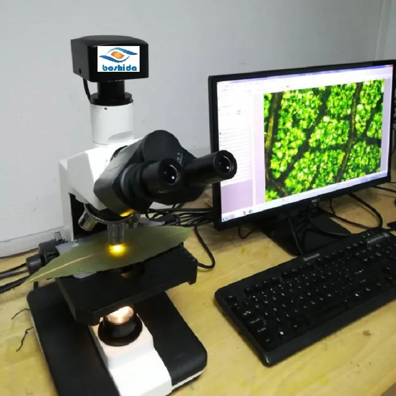 1600x Trinocular Dark Field Biological Microscope With Digital 5mp 10mp