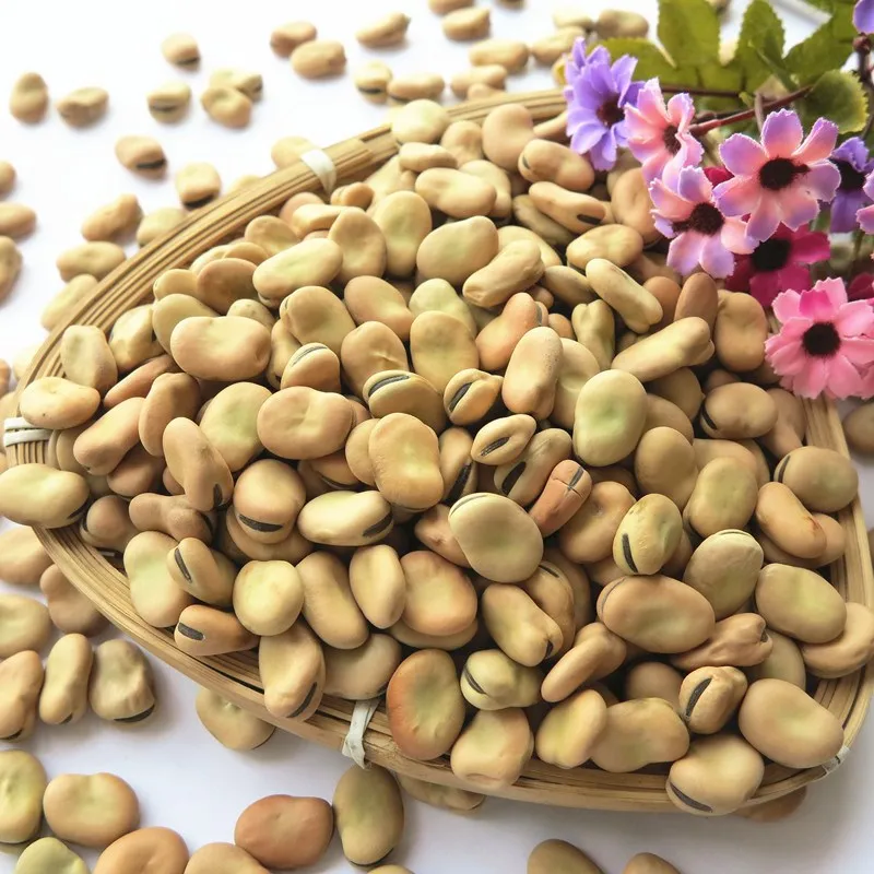 Dried Broad Bean Bulk Dry Fava Beans Buy Canned Broad Beans,Broad