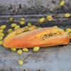 Simulation Bread Decorative Custom Kid's DIY Realistic Plastic Artificial Bread