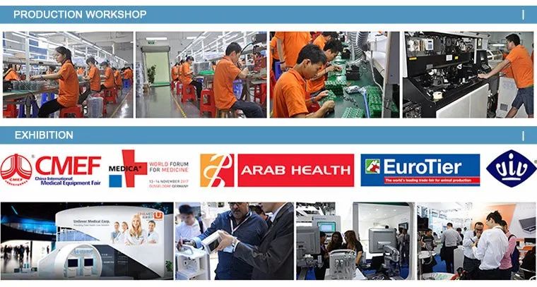 company information