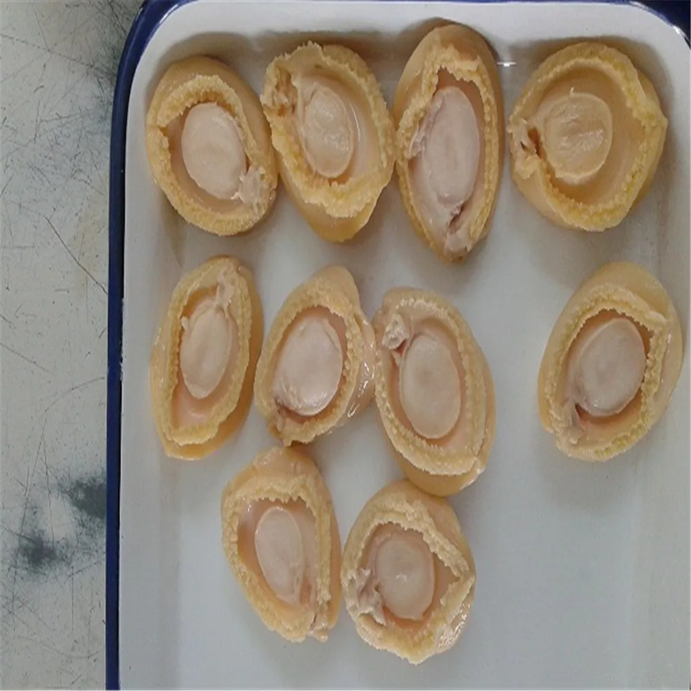 abalone15.jpg