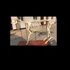 medical educational skeleton model, vivid real animal bone bull /cow skeleton