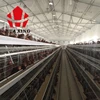 drawing full galvanized layer cages philippines bottom price chicken house for poultry equipments