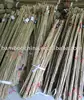 Tonkin bamboo stakes garden flower plant natural tree support