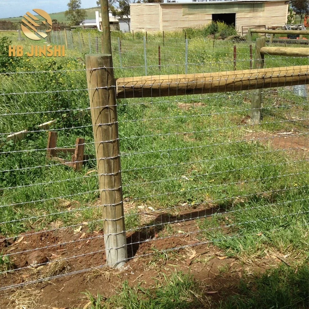Livestock Fencing For Sheep And Lamb Fence Buy Cheap Lamb Fence