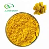 HALAL factory supply wholesale turmeric curcumin bioperine tumeric extract pills